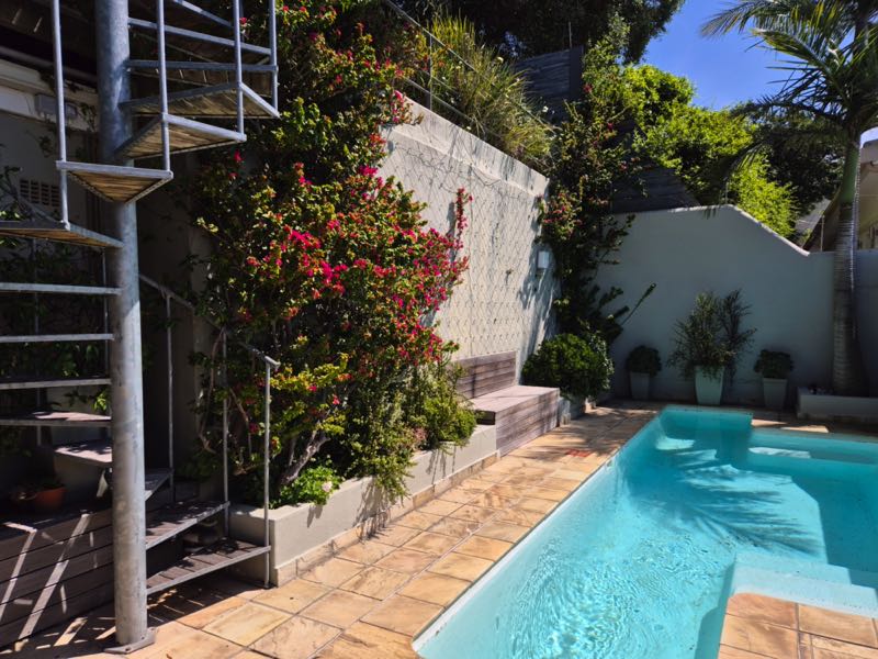 40 Napier Street - plunge pool