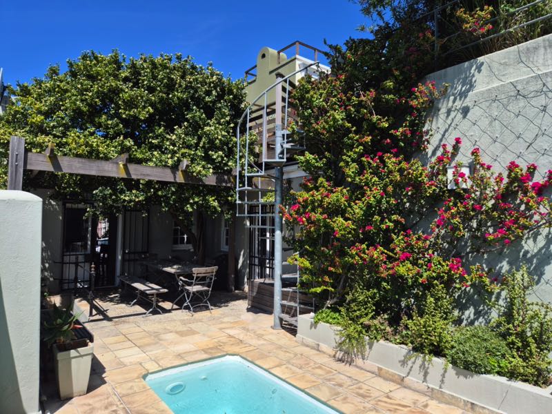 40 Napier Street - pool & terrace