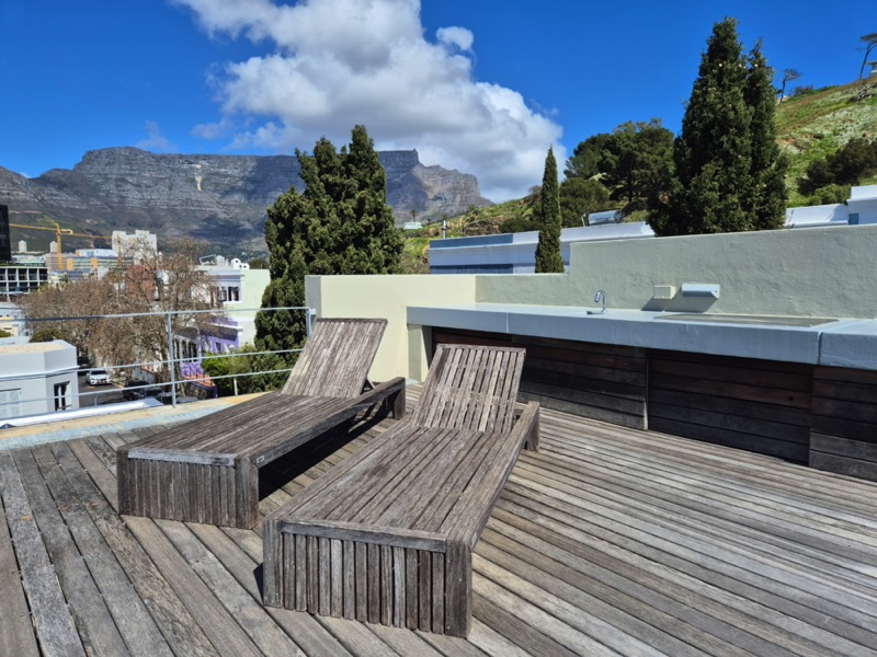 24 Loader Street - roof terrace