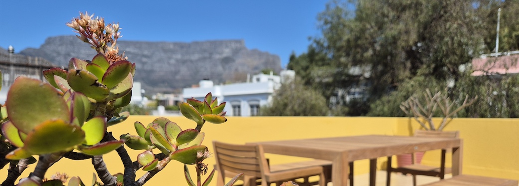 110 Waterkant Street - roof terrace